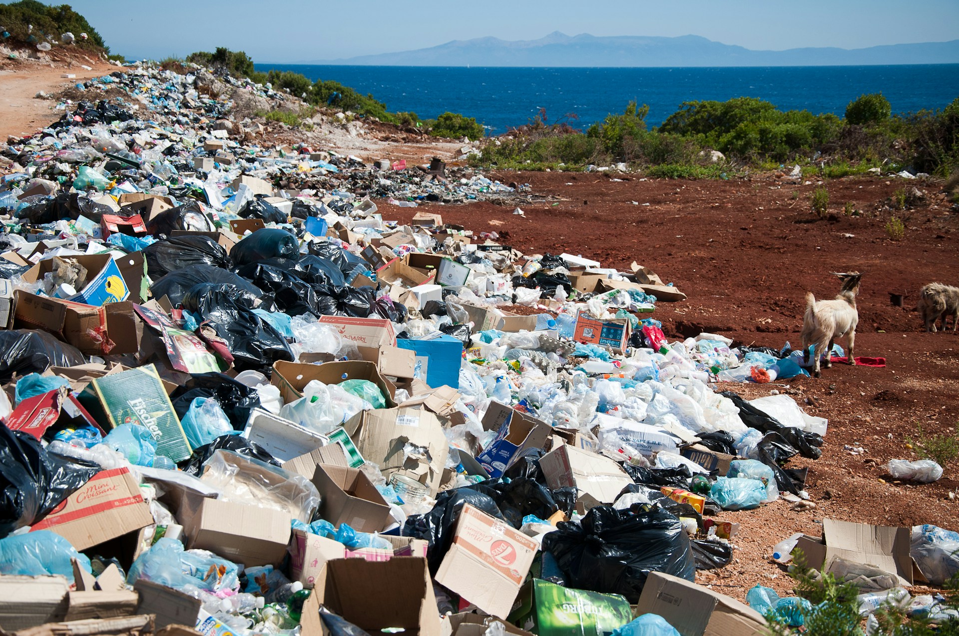 Nigeria’s Waste Crisis: Root Causes, Devastating Impacts, and the Road to Solutions